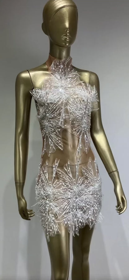 Celestia Crystal Mini Dress